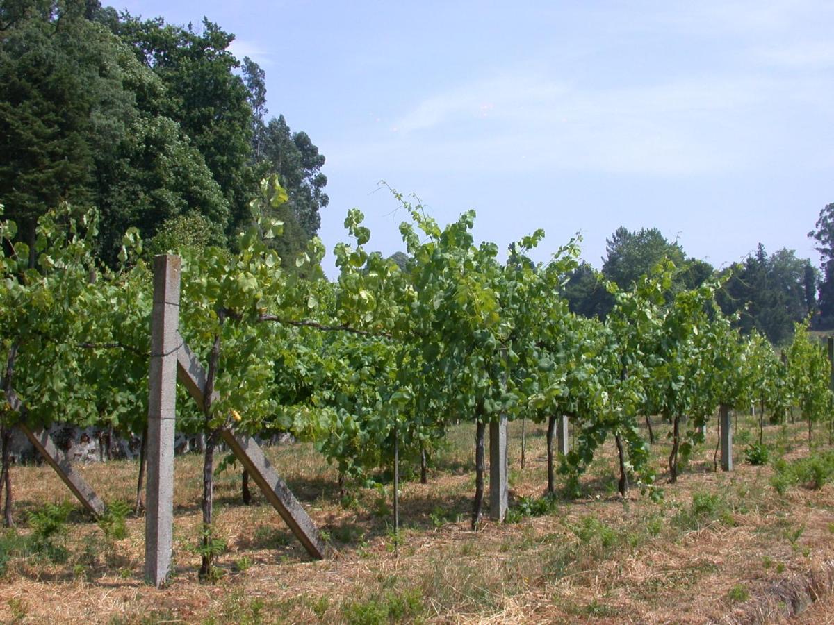 Вилла Quinta Da Tapada Лозада Экстерьер фото