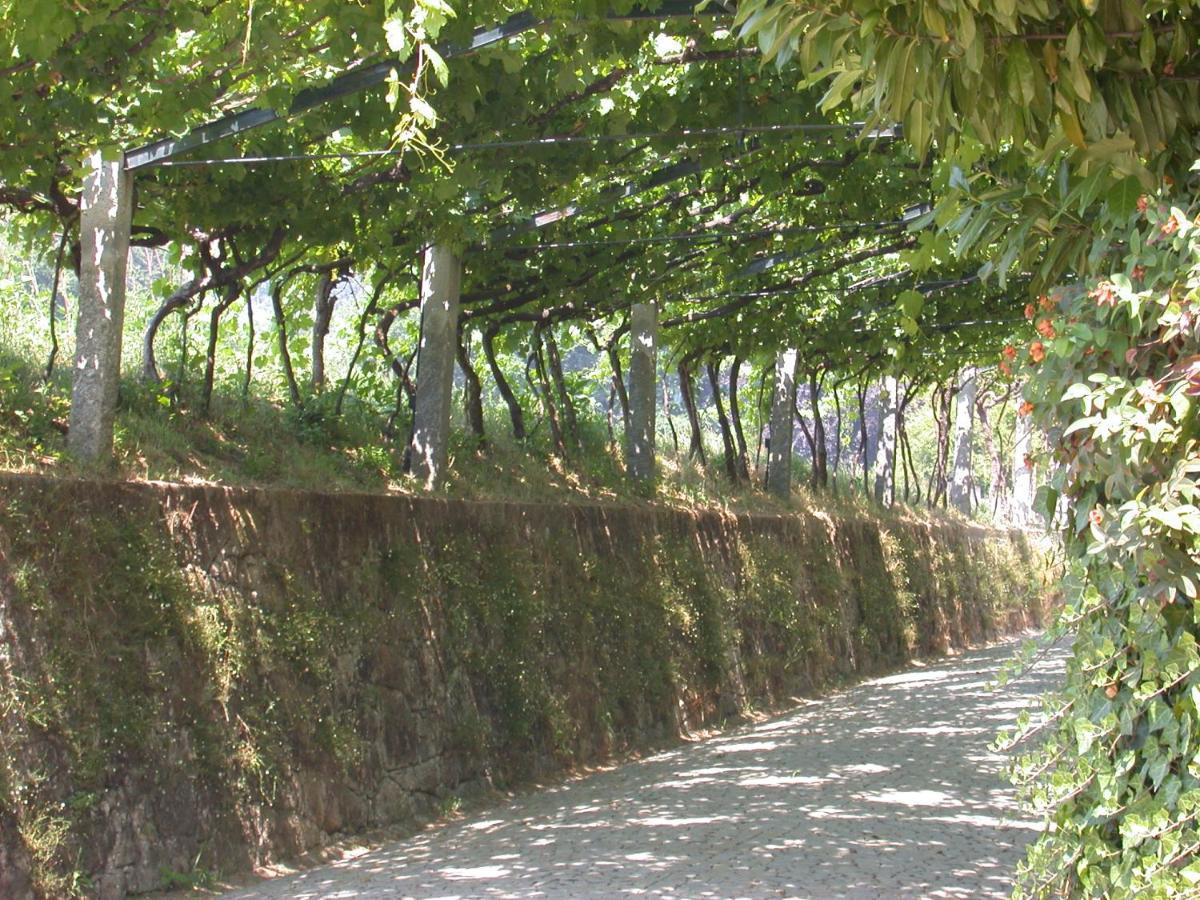 Вилла Quinta Da Tapada Лозада Экстерьер фото