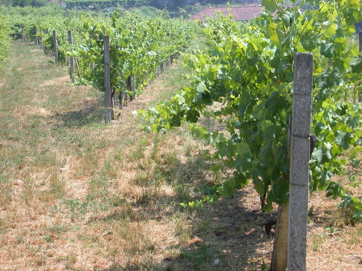 Вилла Quinta Da Tapada Лозада Экстерьер фото